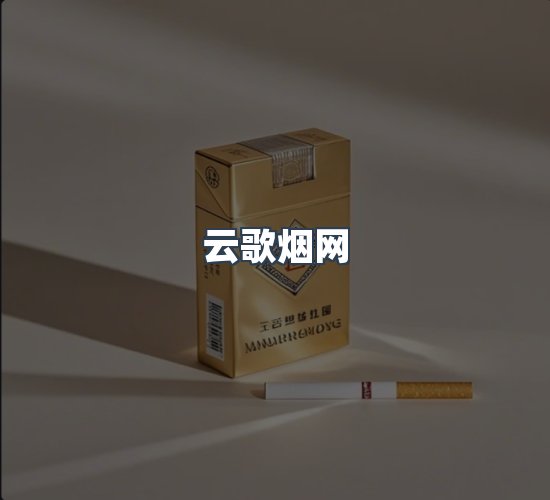 关于云歌烟网